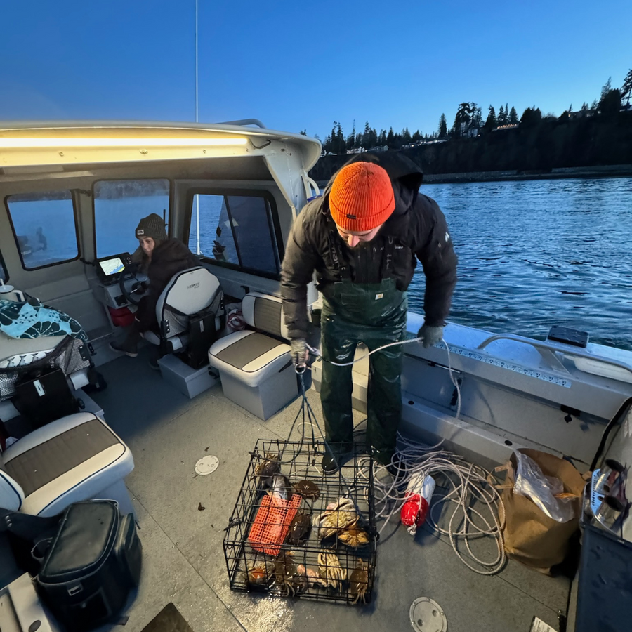 Man on a boat deck with crab pots, lit by a Kingpin light at dusk