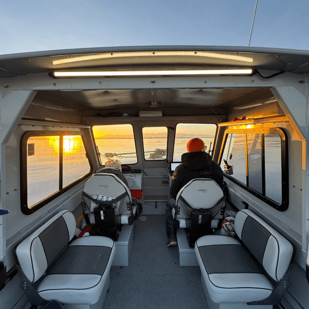 Boat cabin interior lit by Kingpin lights on the ceiling