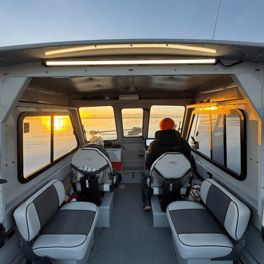 Boat cabin interior lit by Kingpin lights on the ceiling