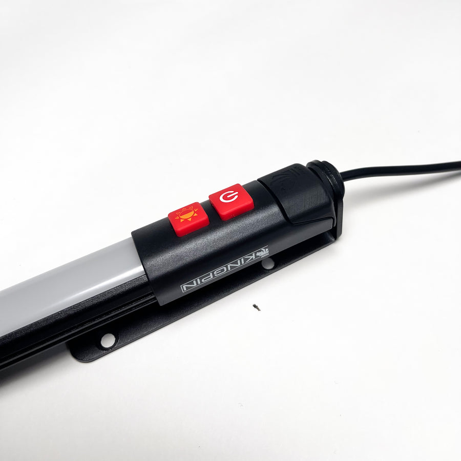 Kingpin F-Series light in a Search Mount, button end
