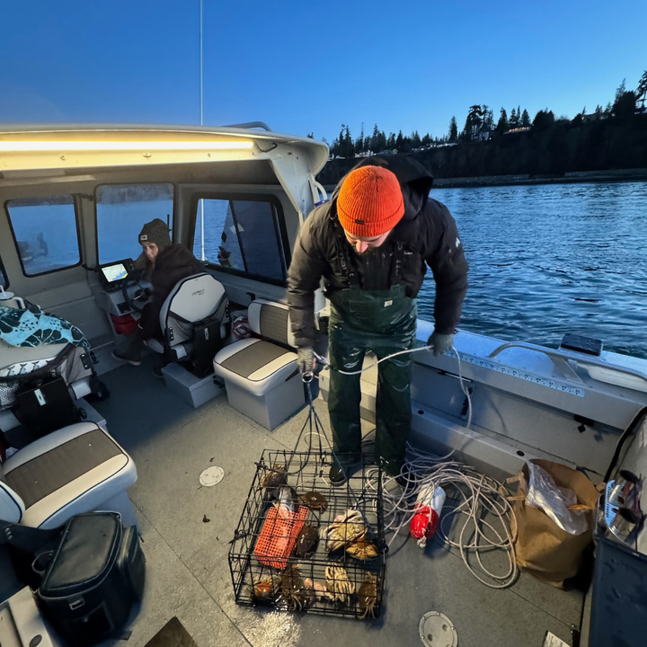 Kingpin lights boat crabbing night time